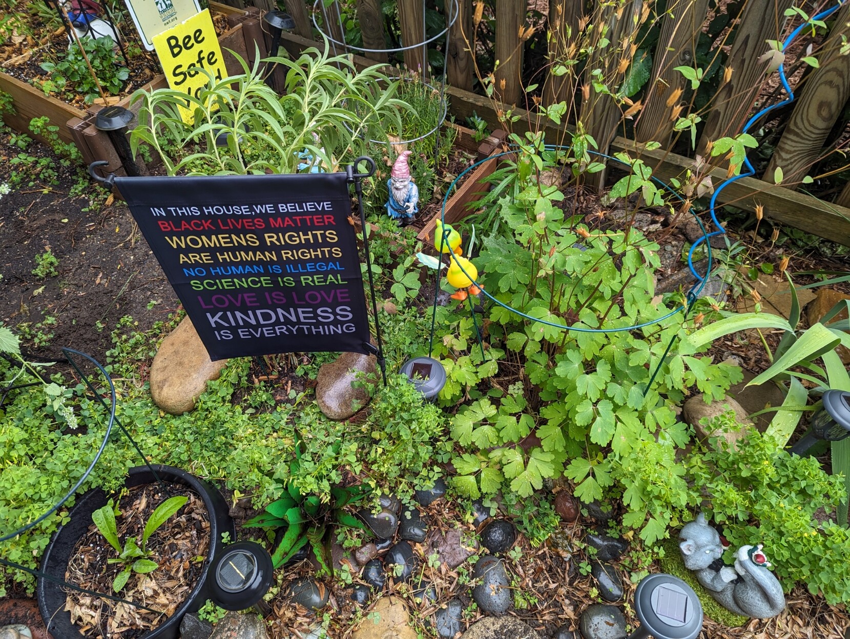 Middle of my rain garden. There are three monster statues and a garden flag with the "in this house we believe ... kindness is everything" quote. There are also "bee safe" & "gardening fir wildlife" signs in the background. Statues: Bottom right: kaiju <br />kitty fighting gnomes Upper left: 2 zombie gnomes in the lavender bed. Middle: flying rubber ducky, mooning the camera Other plants include: miniature sunflowers, about to bloom, columbine going to seed, stubborn irises that are not yet producing flowers. <br />There are also some clover plants that I am leaving to provide shade.